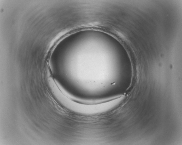 X0000052651308200507221831