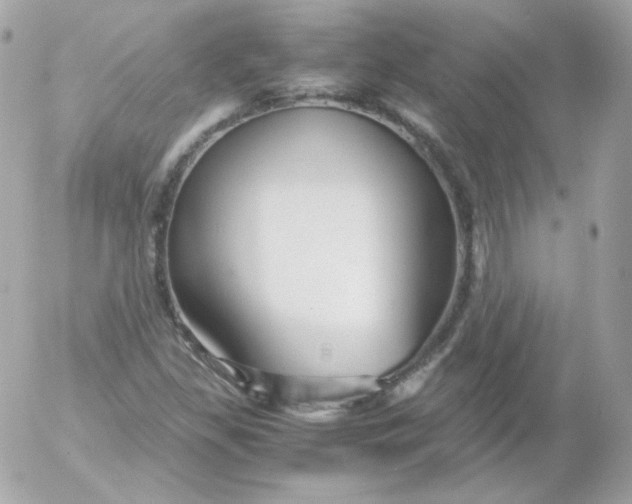 X0000052651309200507221831