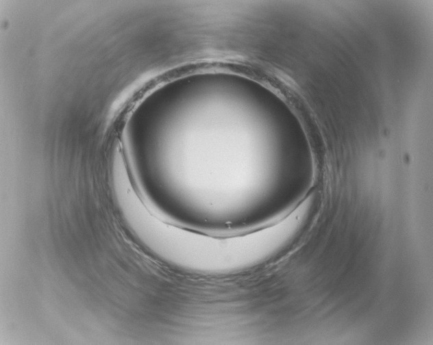 X0000052651310200507221831