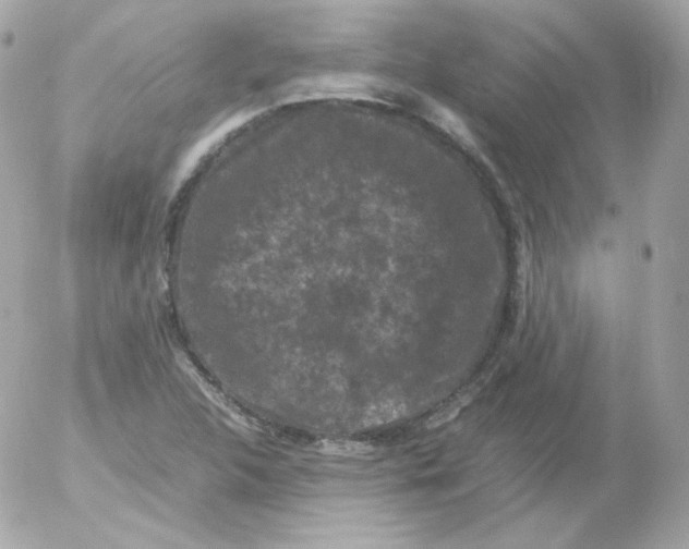 X0000052651312200507221831