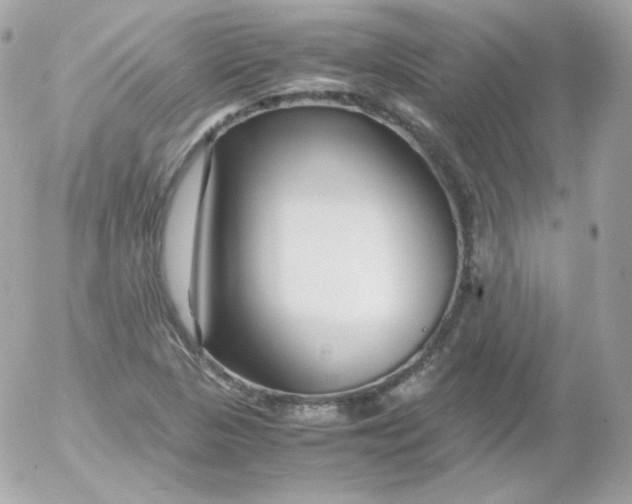 X0000052651313200507221831