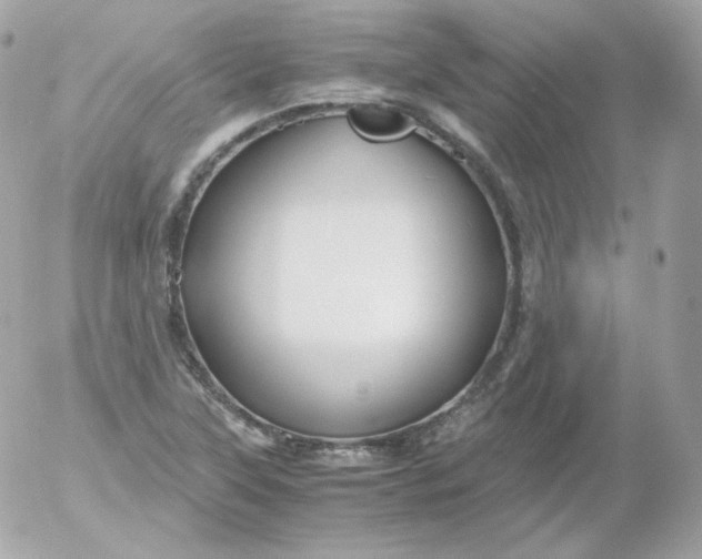 X0000052651315200507221831