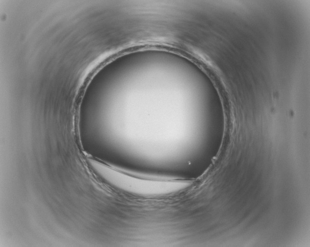 X0000052651316200507221831