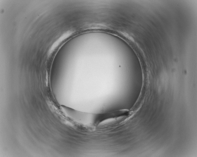 X0000052651317200507221831