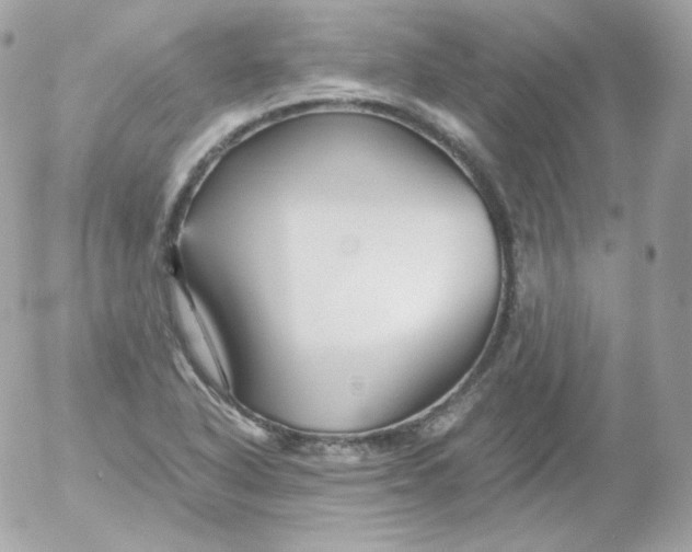 X0000052651318200507221831