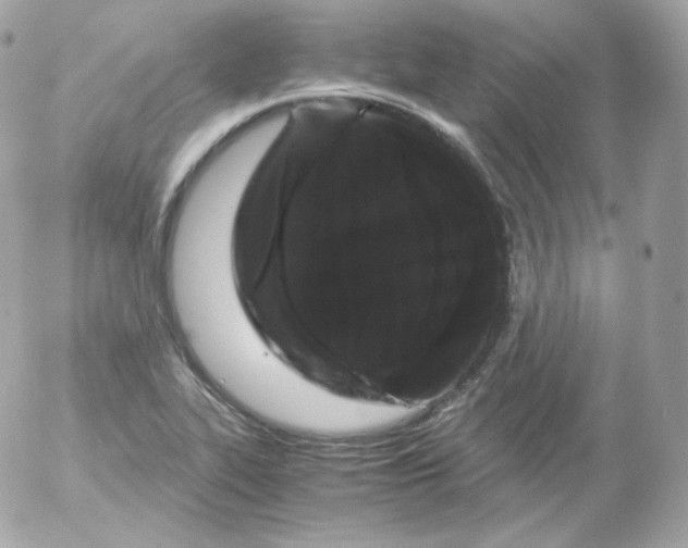 X0000052651319200507221831