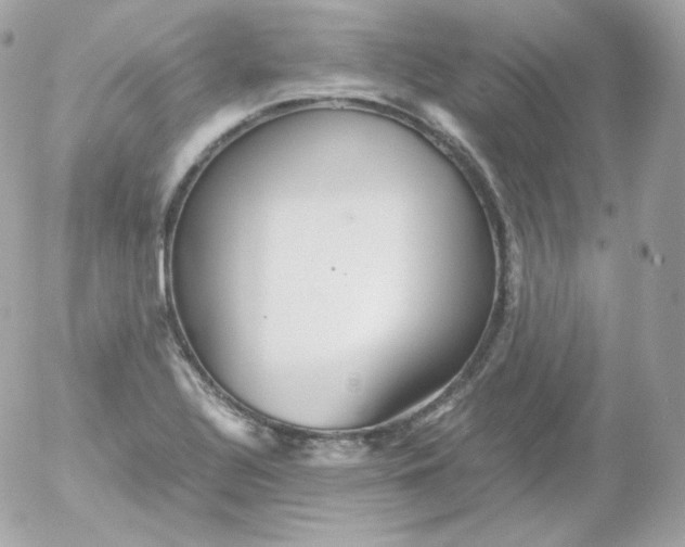 X0000052651320200507221831