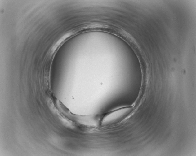 X0000052651321200507221831