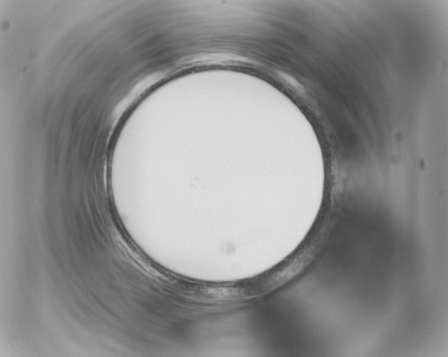 X0000052651322200507221831