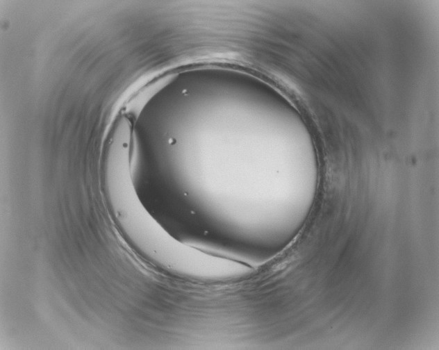 X0000052651324200507221831