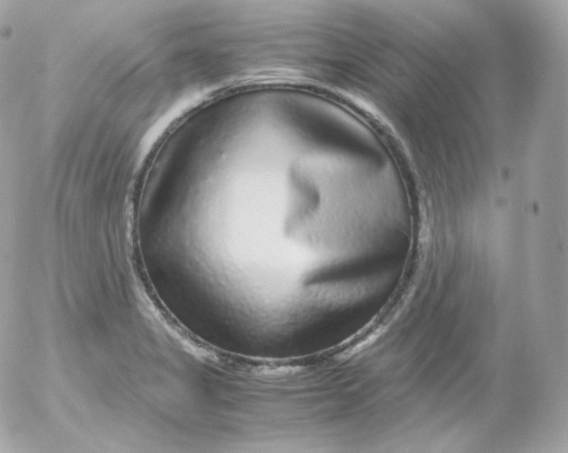 X0000052651325200507221831