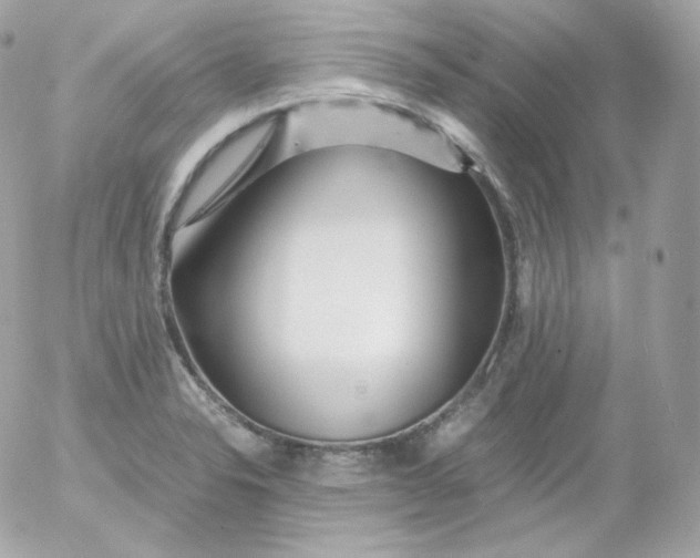 X0000052651326200507221831