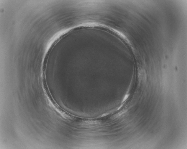 X0000052651327200507221832