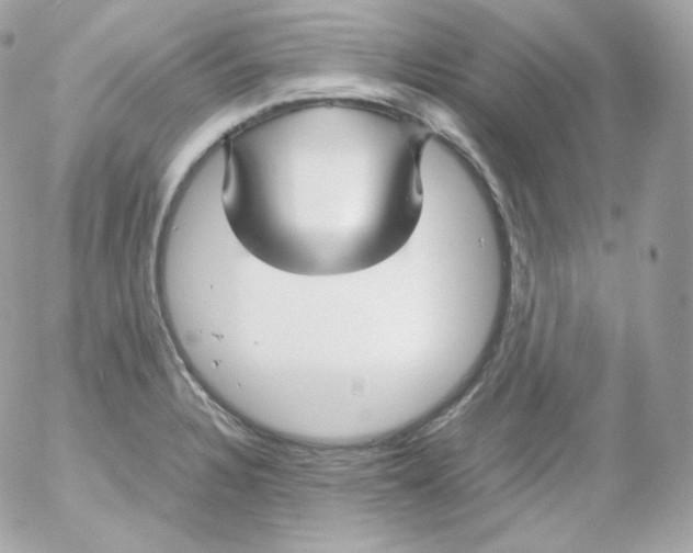 X0000052651328200507221832