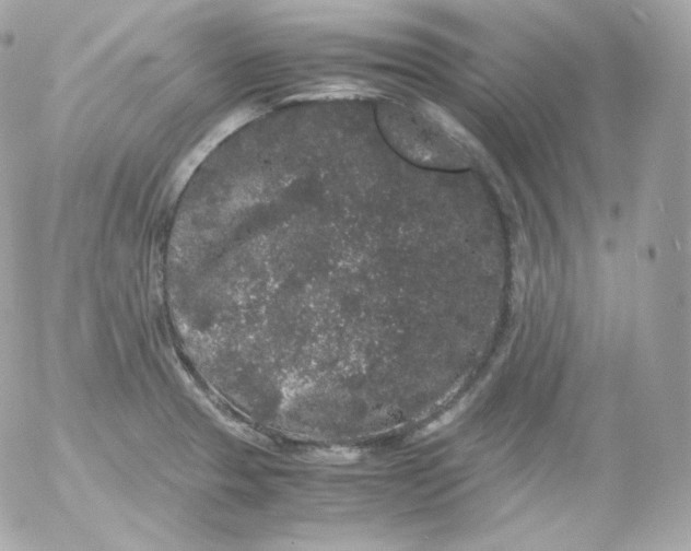 X0000052651329200507221832