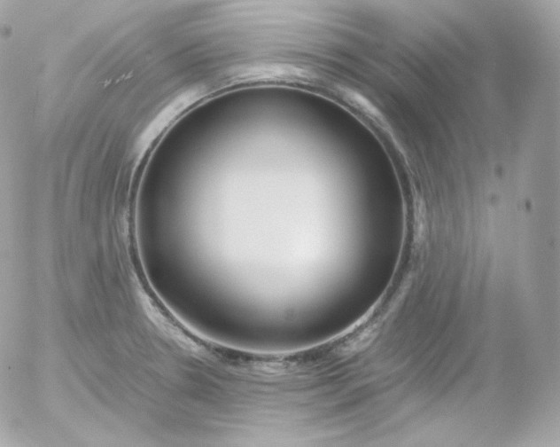 X0000052651330200507221832