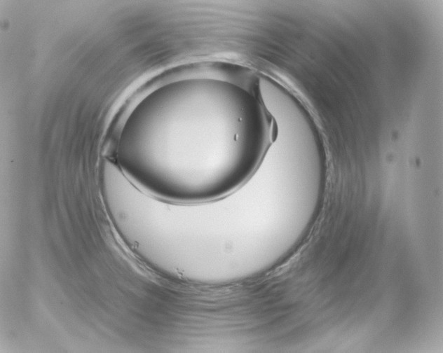 X0000052651332200507221832