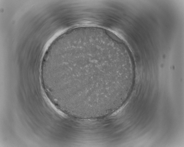 X0000052651333200507221832