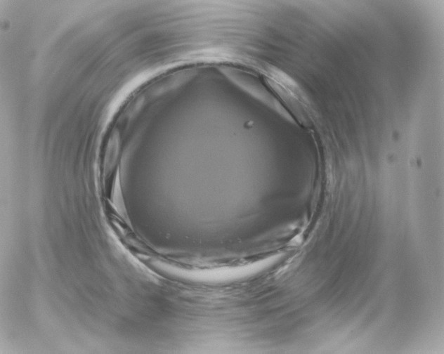 X0000052651334200507221832