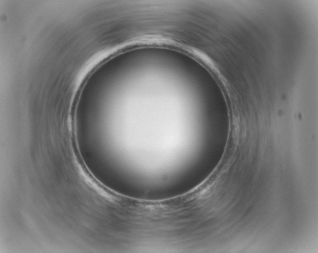 X0000052651335200507221832