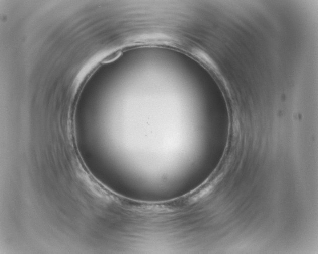 X0000052651336200507221832