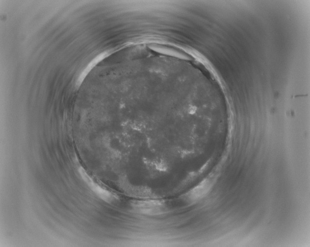 X0000052651337200507221832