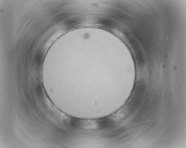 X0000052651338200507221832