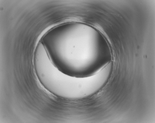 X0000052651339200507221832