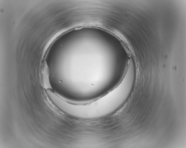 X0000052651340200507221832