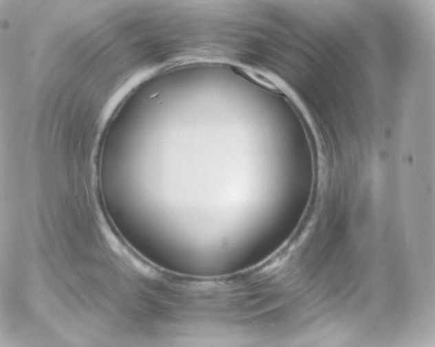 X0000052651341200507221832