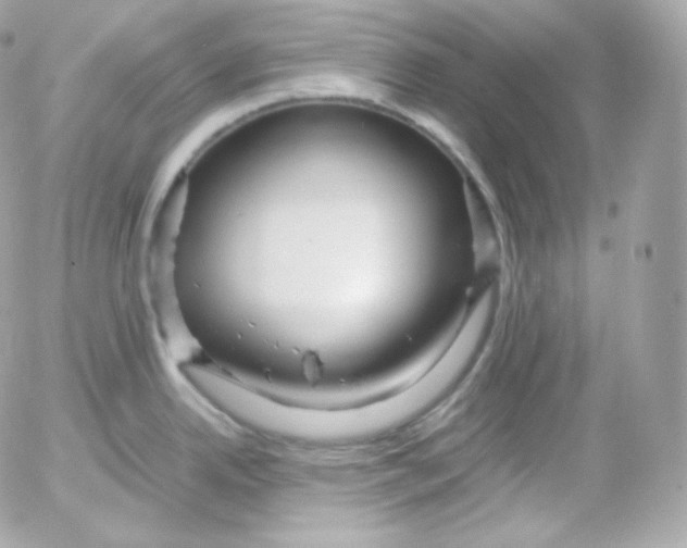 X0000052651342200507221832