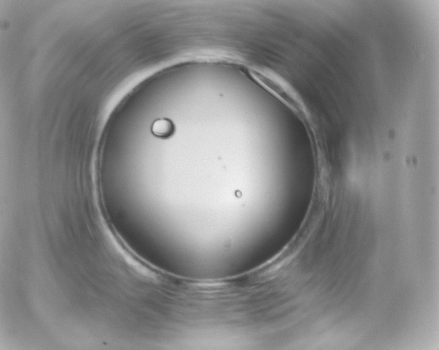 X0000052651343200507221832