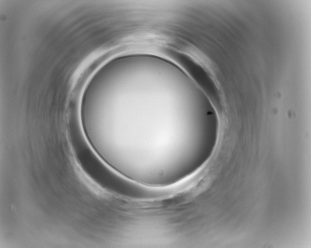 X0000052651344200507221832