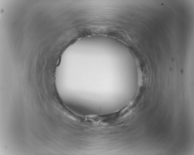 X0000052651345200507221831