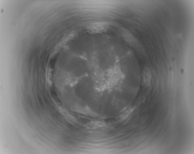 X0000052651346200507221831