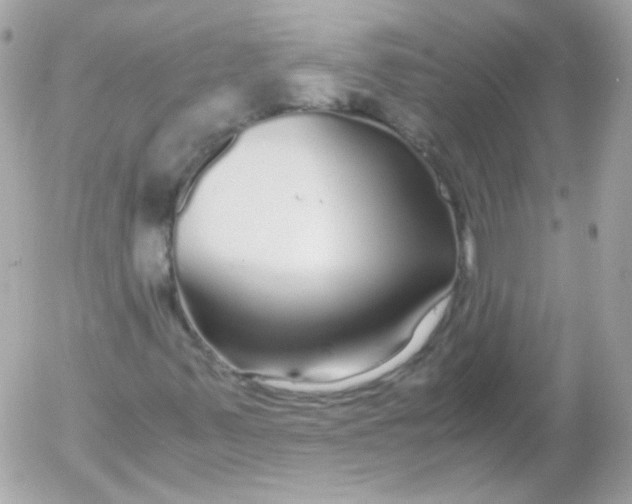 X0000052651347200507221831