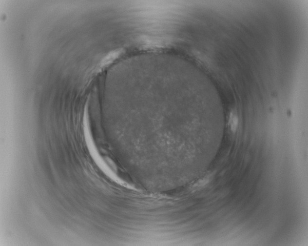 X0000052651348200507221831