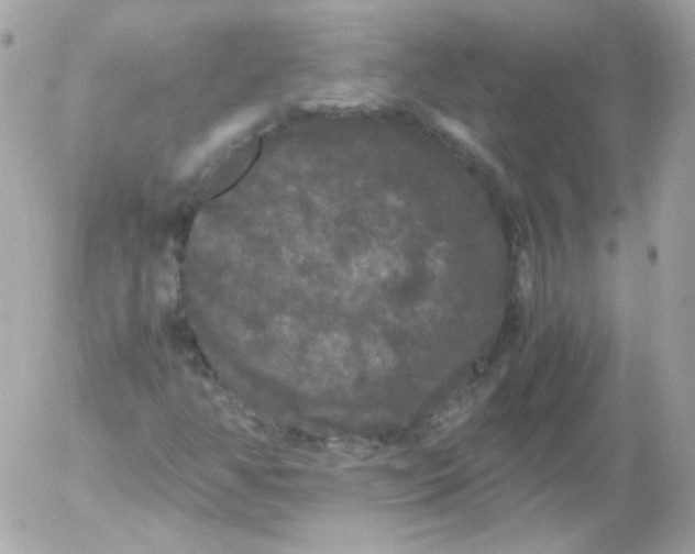 X0000052651350200507221831