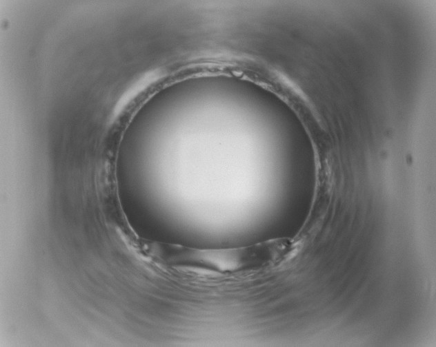 X0000052651352200507221831