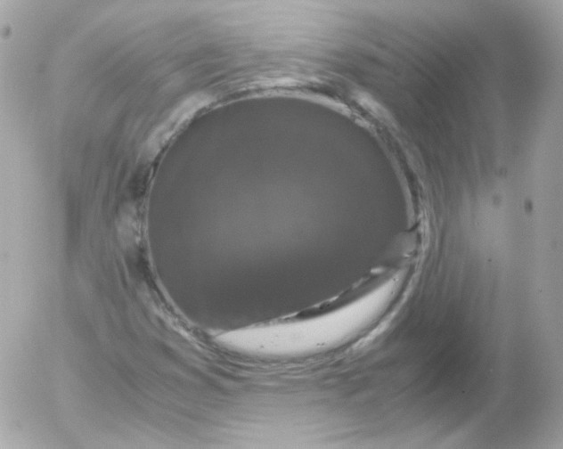 X0000052651353200507221831