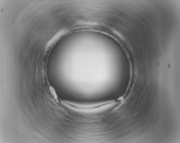 X0000052651354200507221831