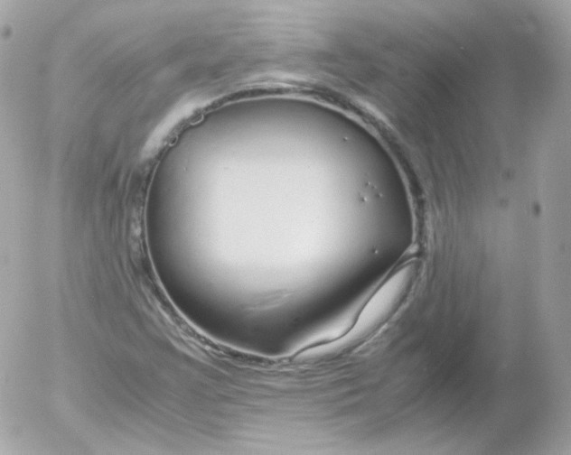 X0000052651355200507221831