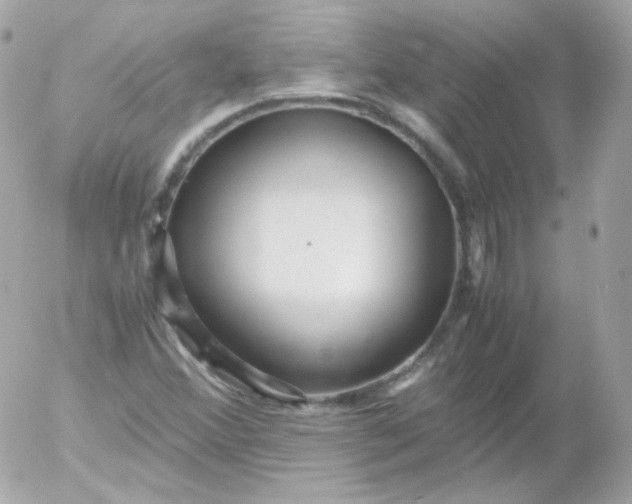 X0000052651356200507221831