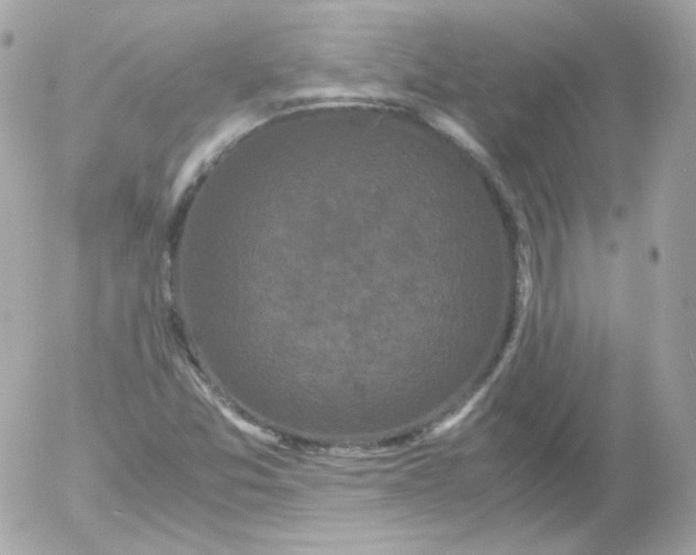 X0000052651357200507221831