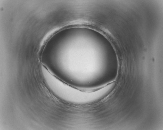 X0000052651358200507221831