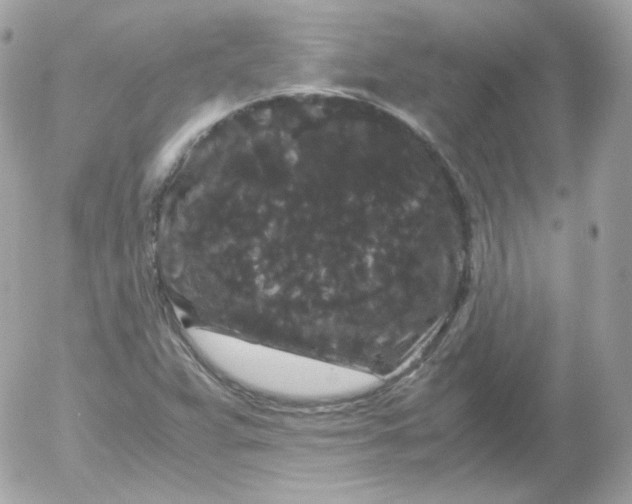 X0000052651359200507221831