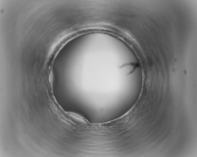 X0000052651360200507221831