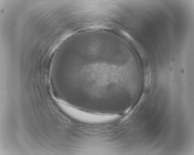 X0000052651361200507221831