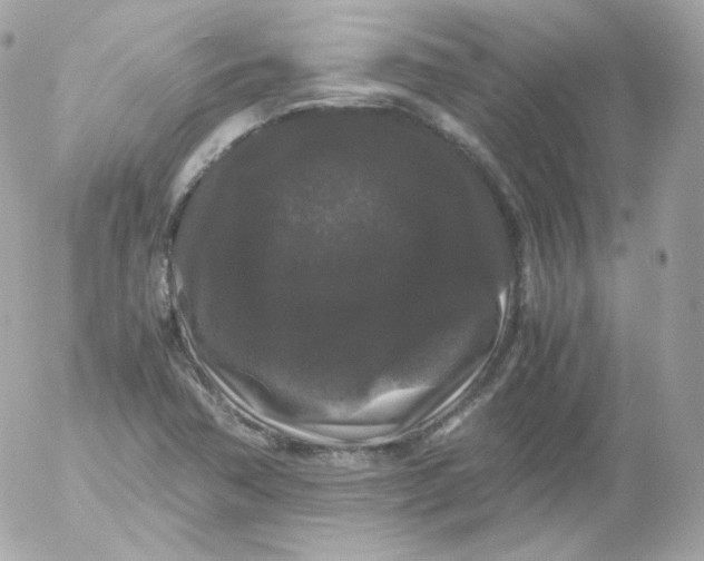 X0000052651362200507221831