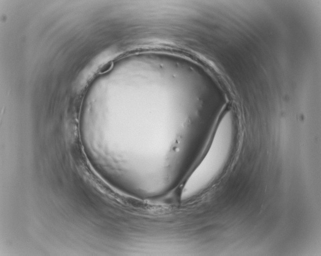 X0000052651363200507221831